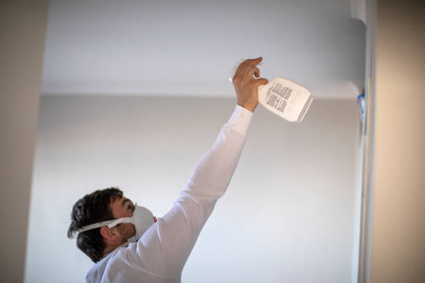 Best Mold Remediation  in South Floral Park, NY